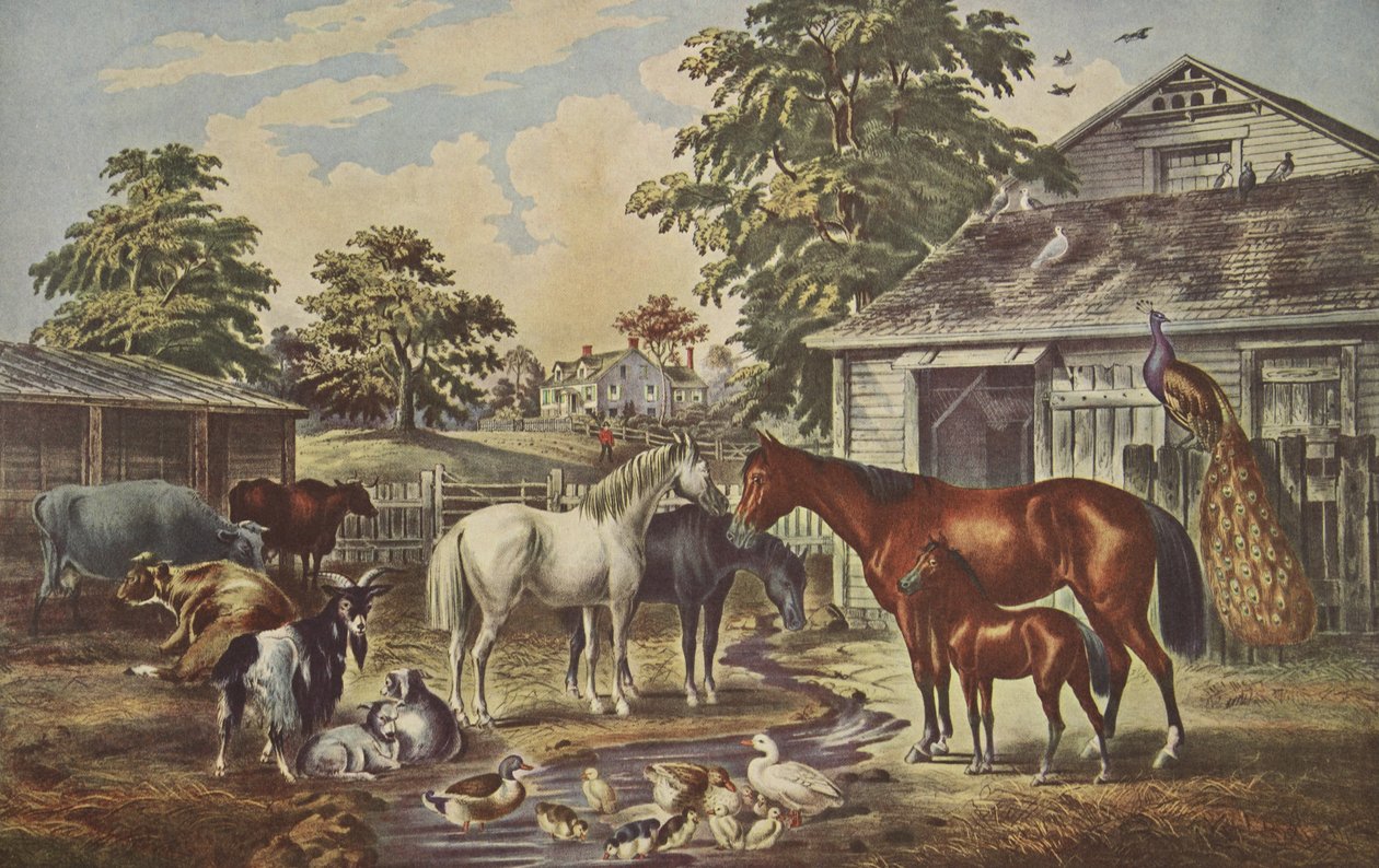 American Farm Yard - Aamu, pub. 1857, Currier & Ives tekijältä American School