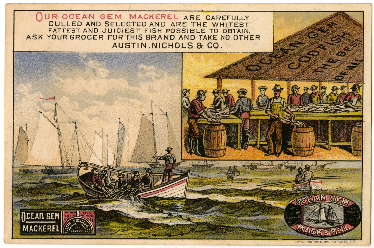 Austin, Nichols & Co. Ocean Gem Makrilli, kauppakortti recto., (värilitho [kauppakortti]) tekijältä American School