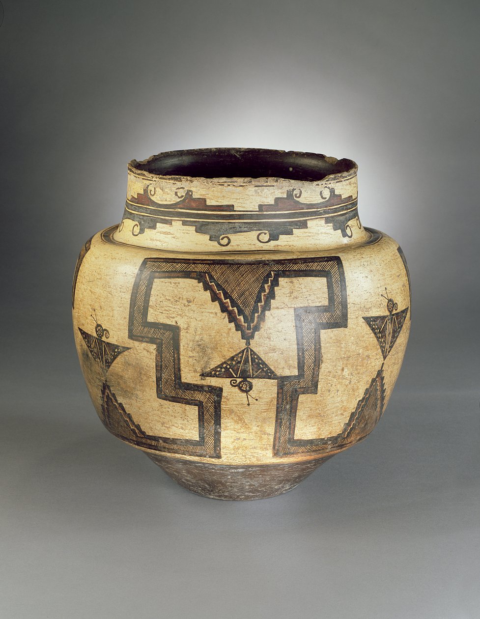 Vesipurkki, Zuni Pueblo, New Mexico, 1825-50 (keraaminen) tekijältä American School