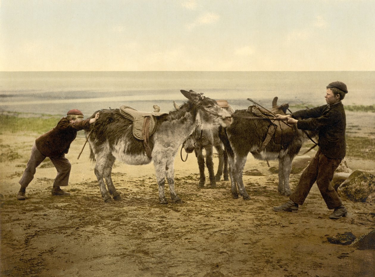 Aasit rannalla, pubissa. noin 1890 - 1900 (kromolitografia) tekijältä English Photographer