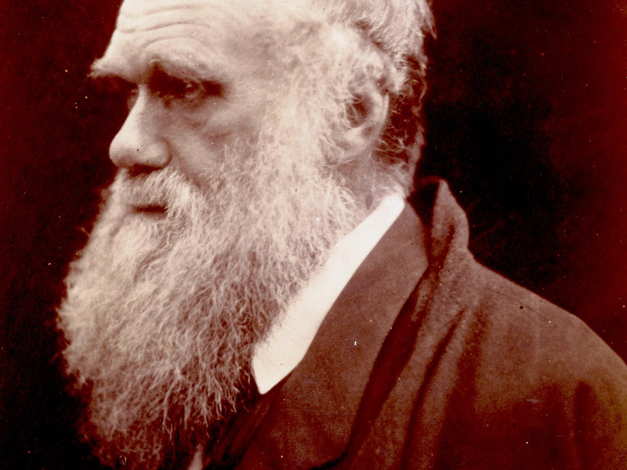 Charles Darwinin muotokuva, 1859 tekijältä English Photographer