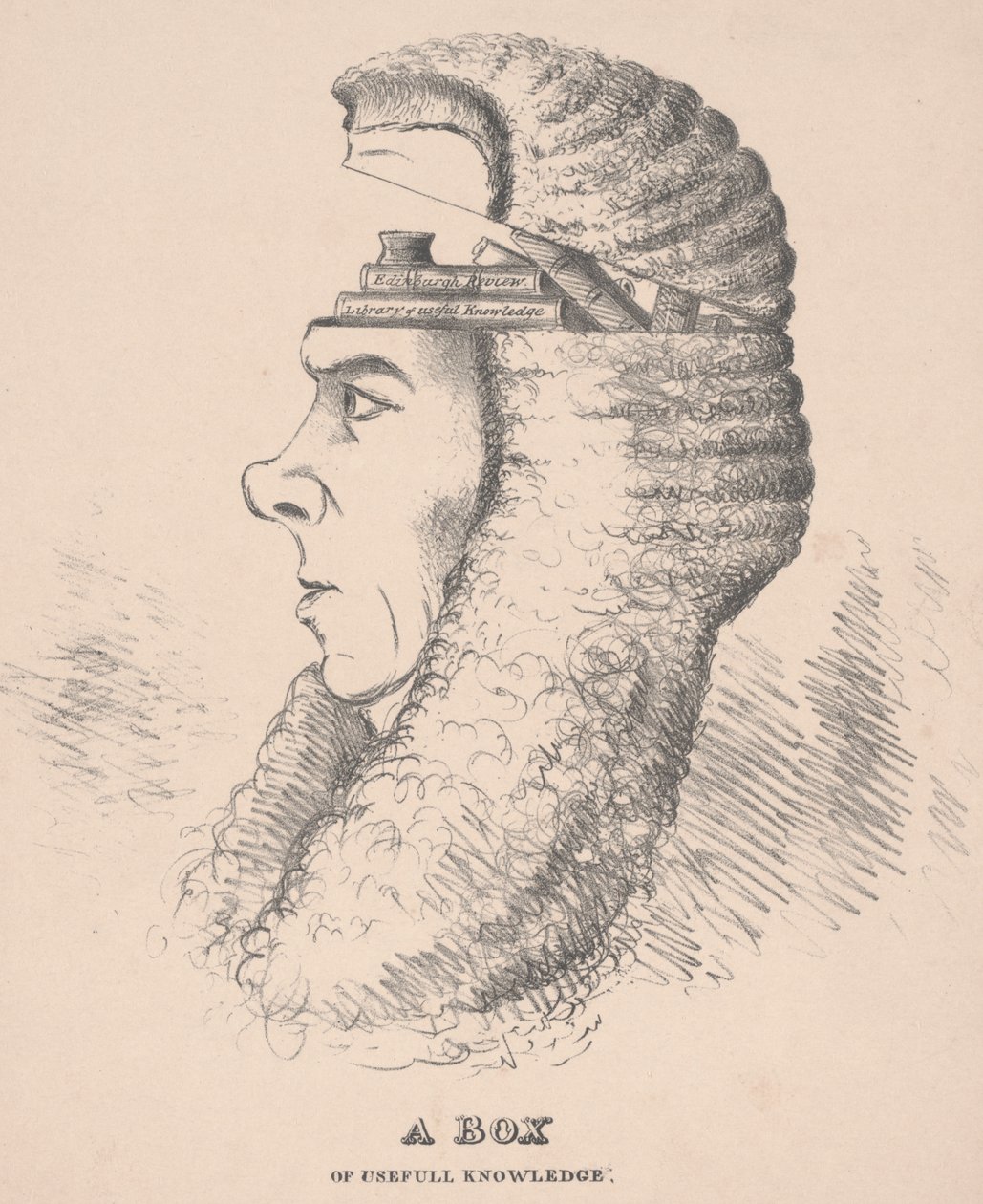 Hyödyllisen tiedon laatikko: Broughamin karikatyyri, 1832. tekijältä English School