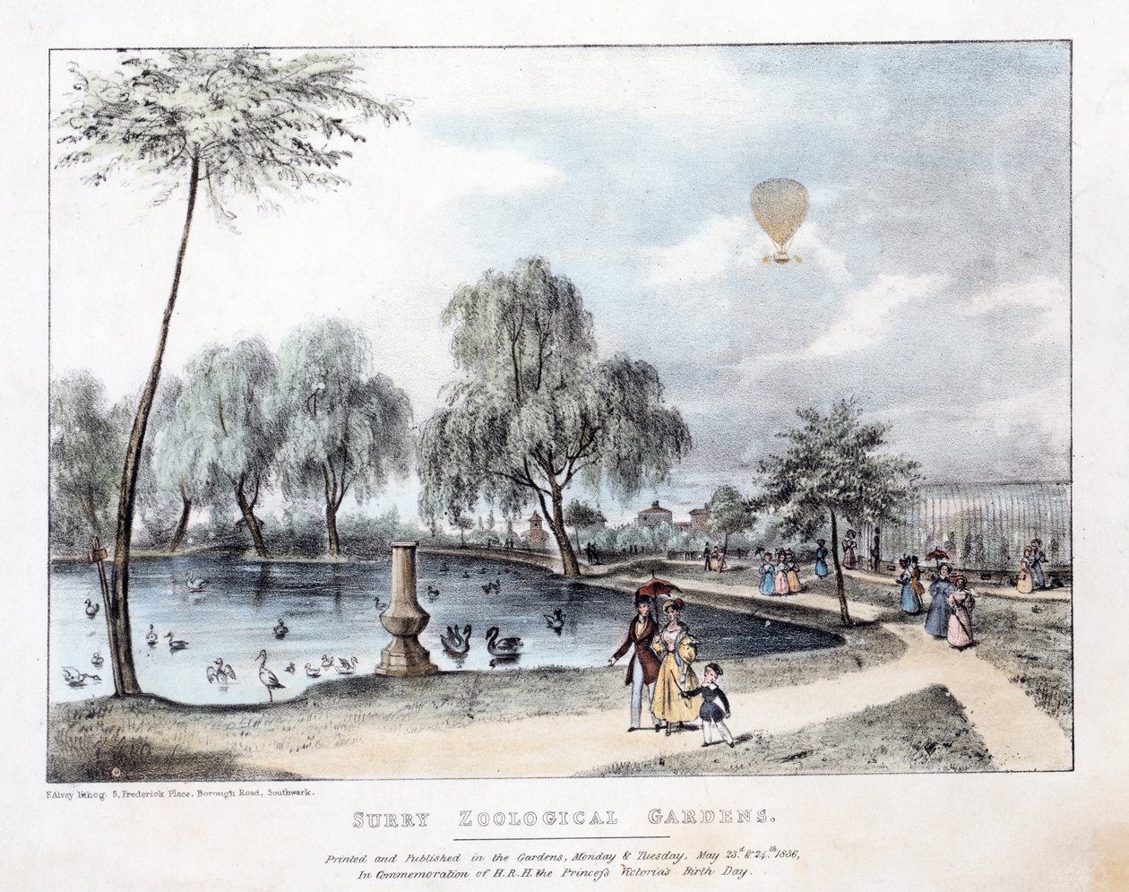 Surryn eläintieteellinen puutarha. Pub. 1836 (käsin väritetty kaiverrus). tekijältä English School