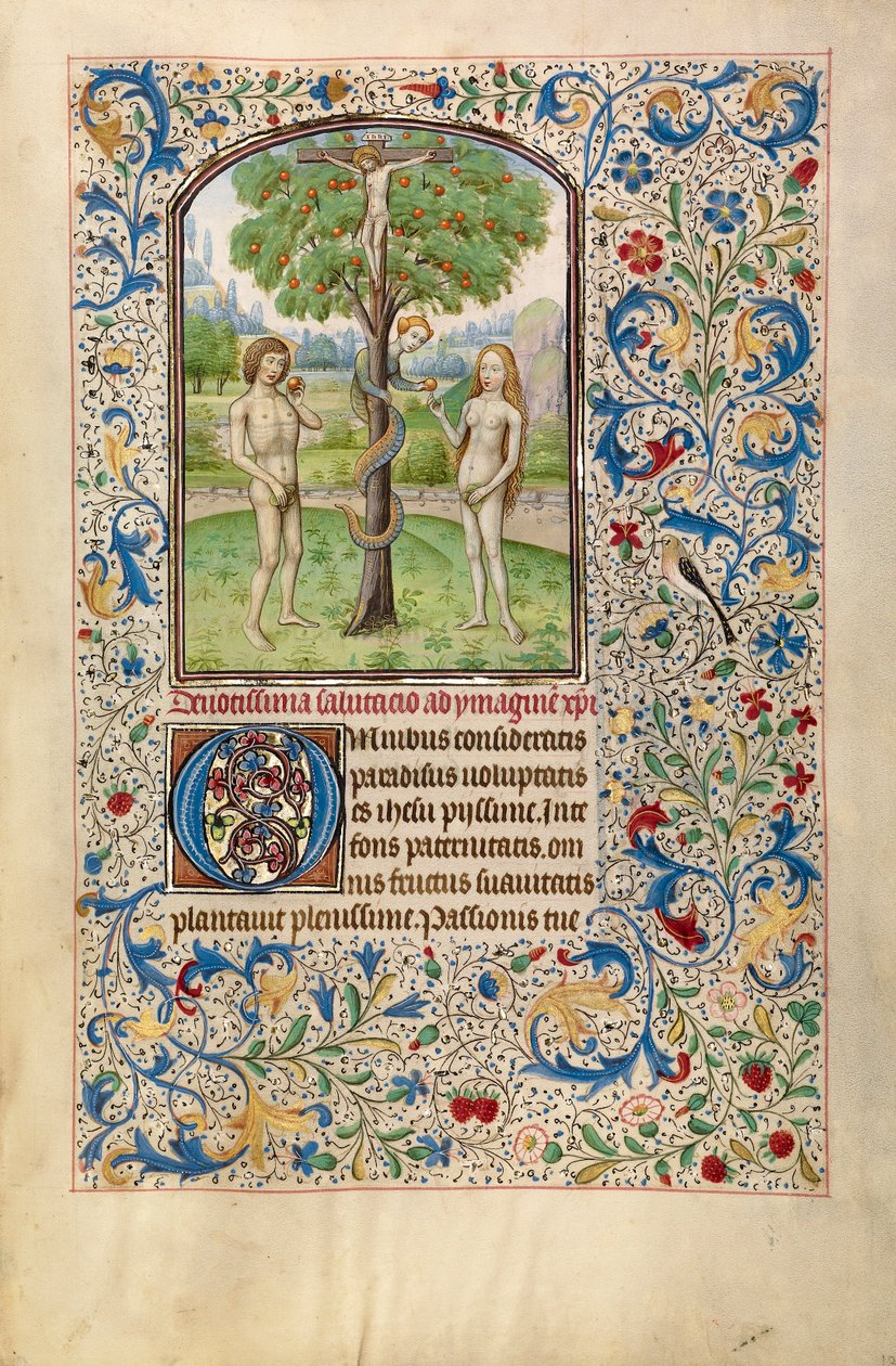 Aatami ja Eeva syömässä kiellettyä hedelmää, alkuvuodesta 1460 (tempera, lehtikulta ja muste pergamentissa) tekijältä Flemish School