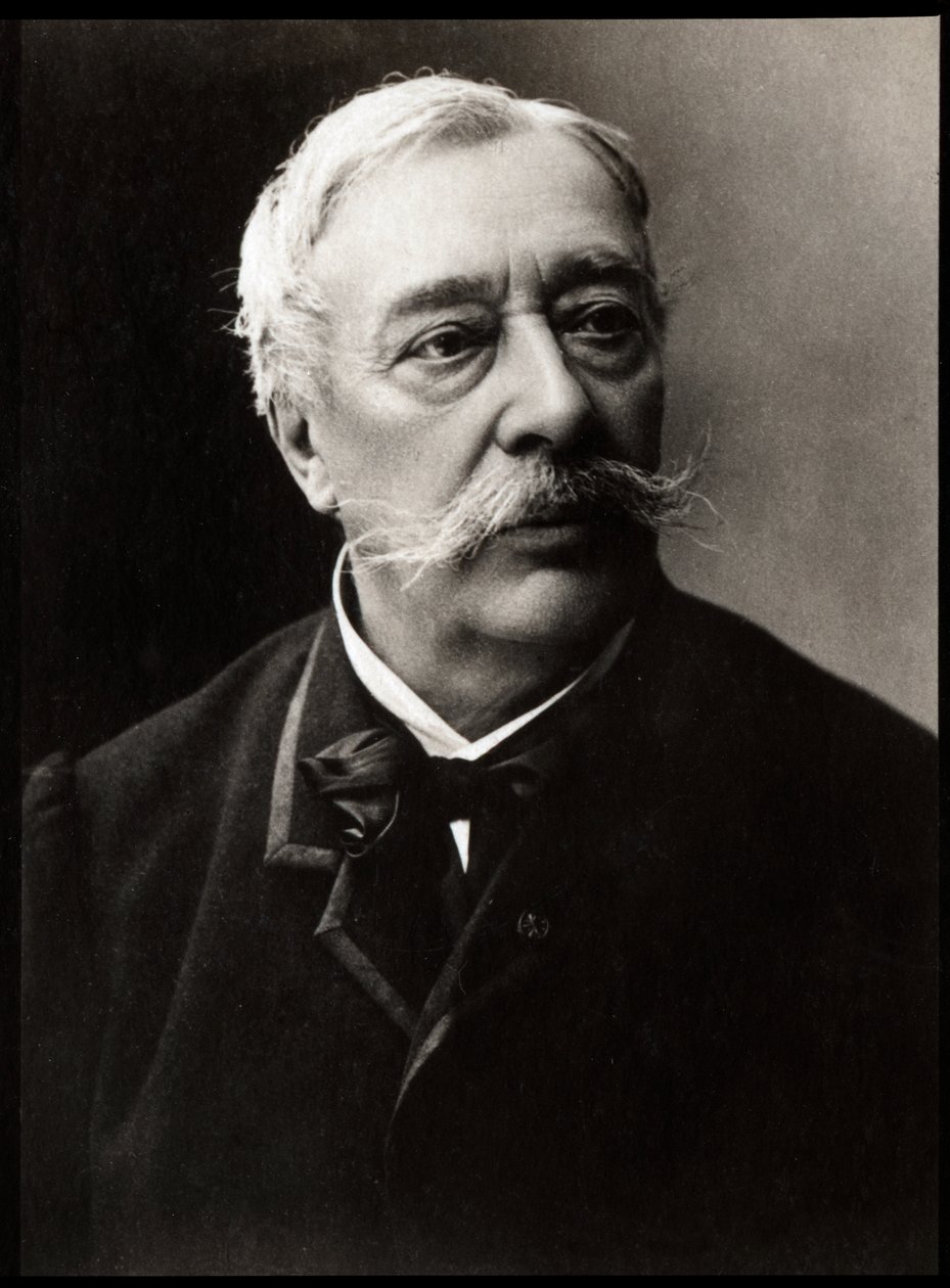 Alfred Stevensin (1823-1906), ranskalaisen taidemaalarin muotokuva. tekijältä French Photographer