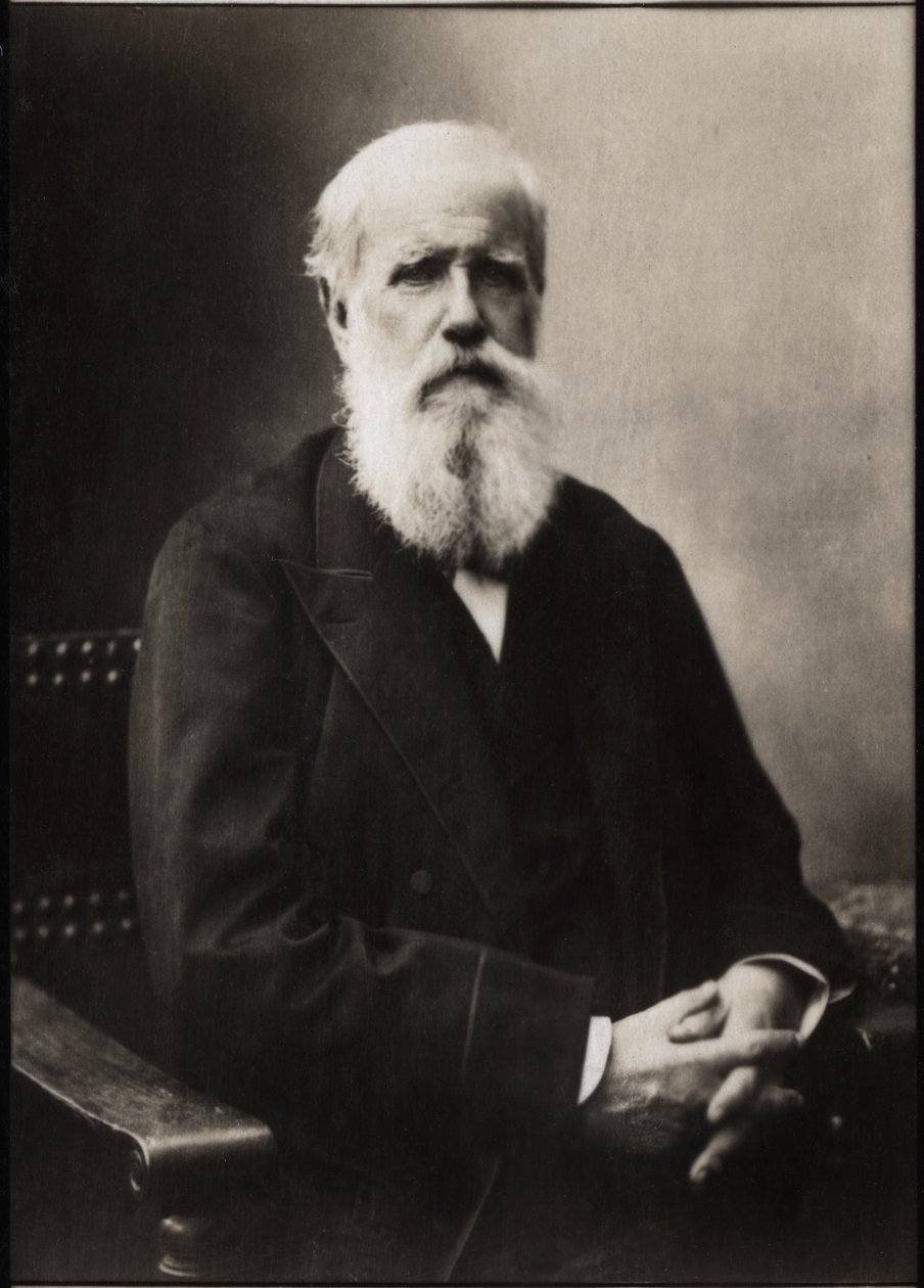 Brasilian keisarin Dom Pedro II:n (Pietari II) (1825-1891) muotokuva. tekijältä French Photographer