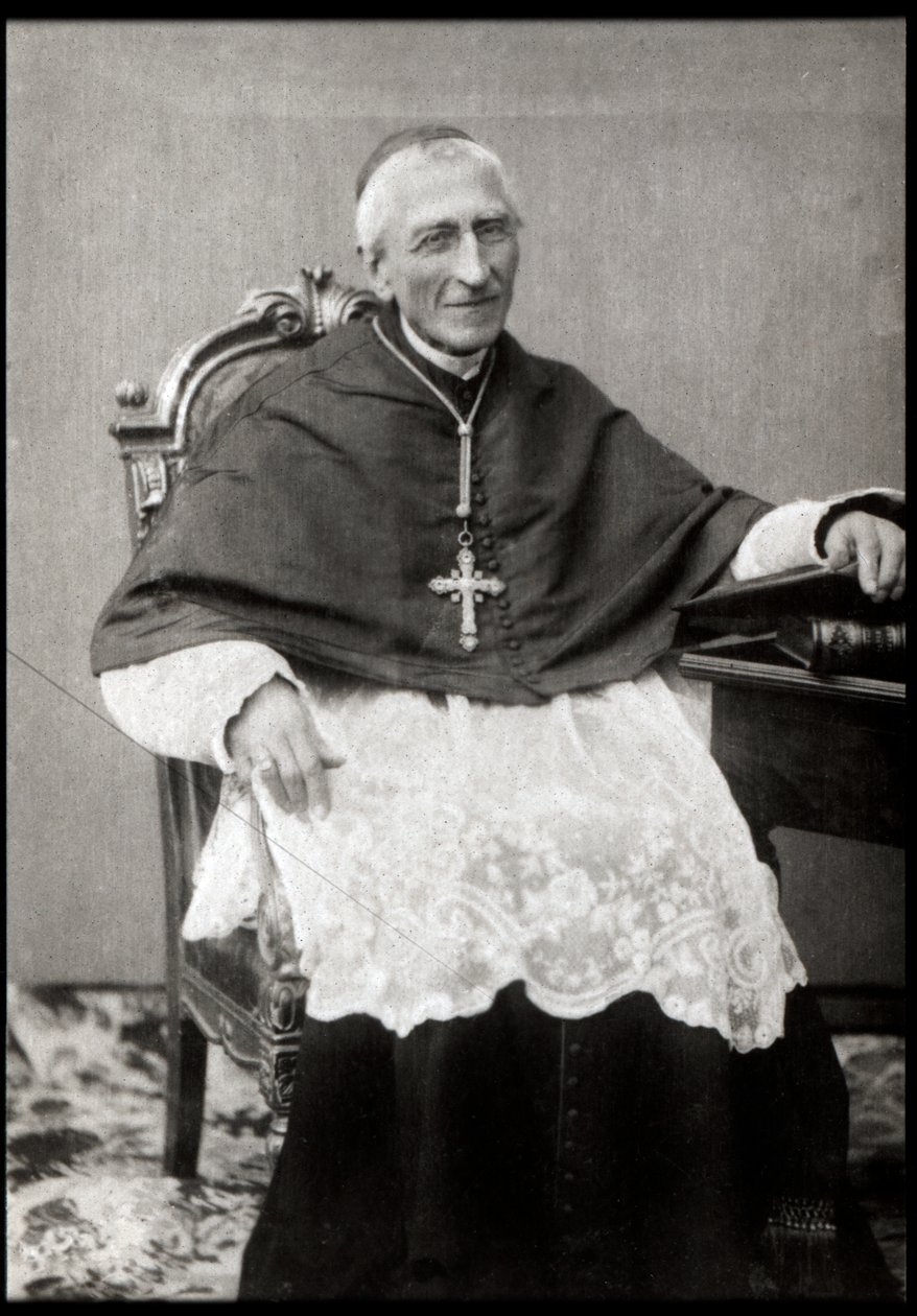 Muotokuva Francois-Marie-Benjamin Richard de la Vergnestä (kardinaali Richard) (1819-1908) tekijältä French Photographer