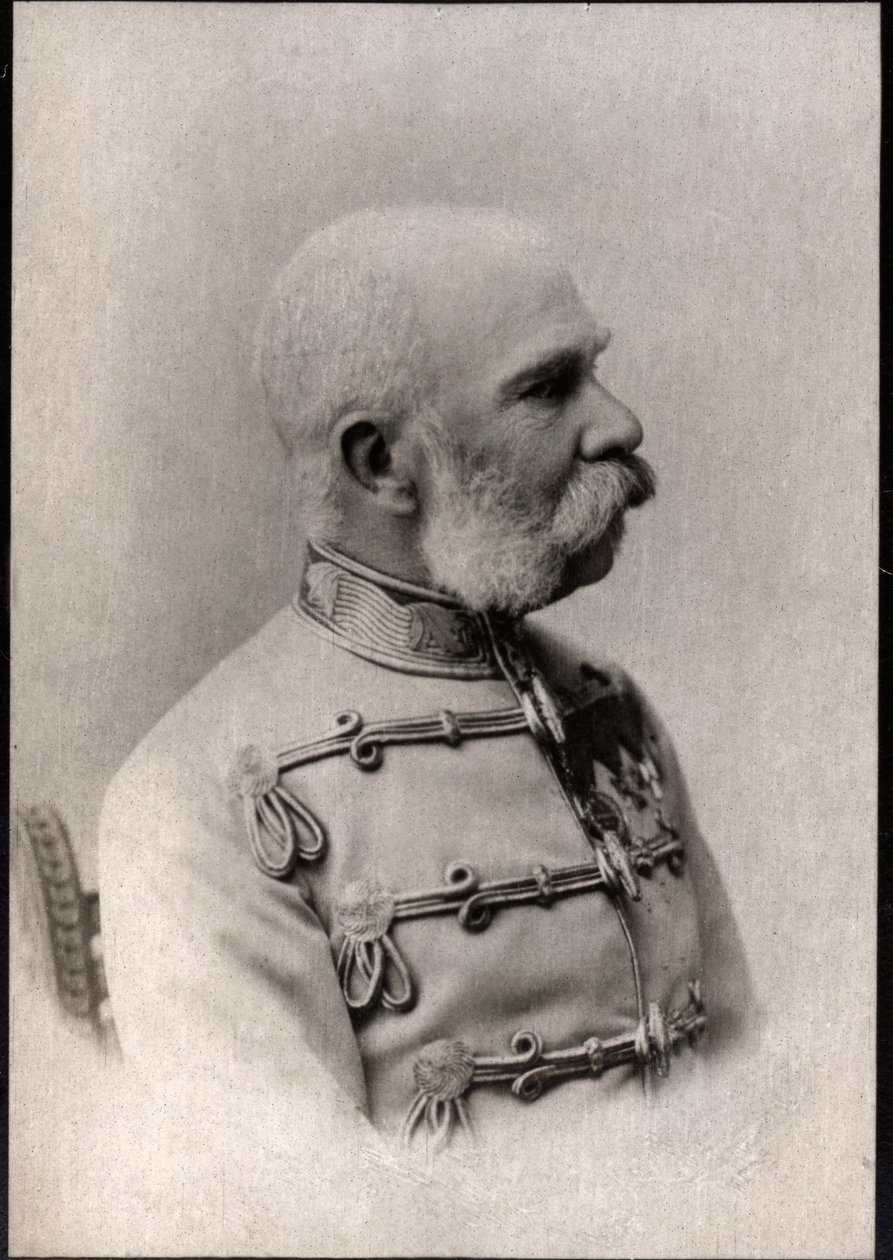 Itävallan keisarin Franz Joseph I:n (1830-1916) muotokuva. tekijältä French Photographer