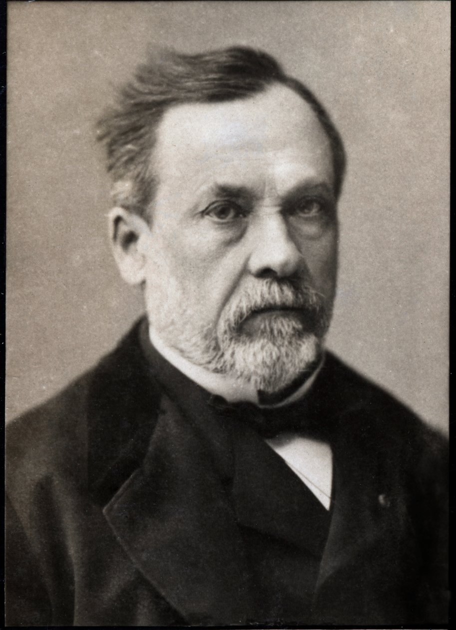 Muotokuva Louis Pasteurista (1822-1895), ranskalaisesta kemististä ja mikrobiologista. tekijältä French Photographer
