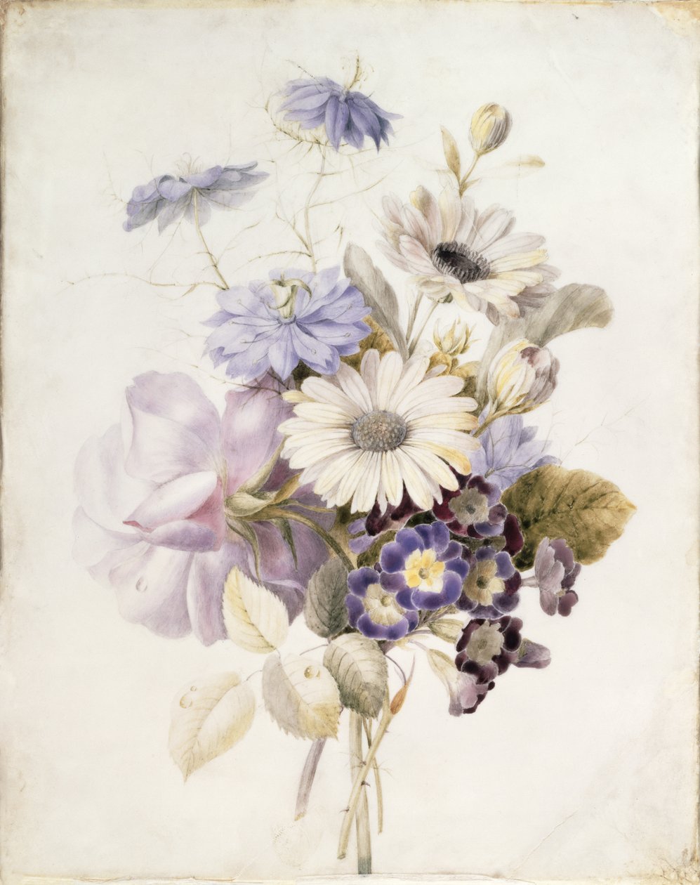 Kukkia päivänkakkarailla, 1840 (wc paperilla) tekijältä French School
