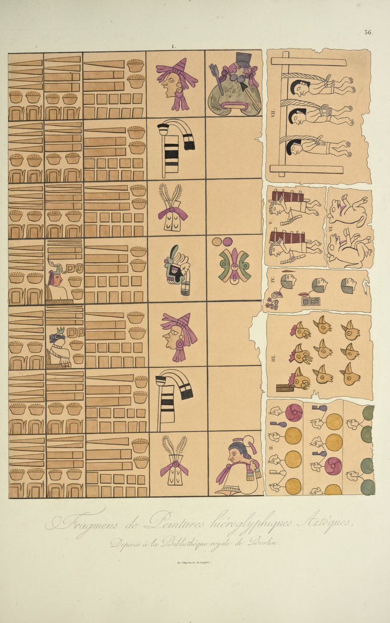 Fragmentteja atsteekkien hieroglyfimaalauksista Berliinin kuninkaallisesta kirjastosta, kuvitus Alexander von Humboldtin ja Aime Bonin Cordillera-näkymistä ja Amerikan alkuperäiskansojen monumenteista. tekijältä French School