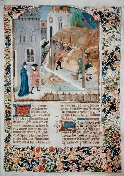Ms 5064 fol.35r Threshing, Livre des Prouffitz Champestres, Pietro de Crescenzi (1230-132021) tekijältä French School