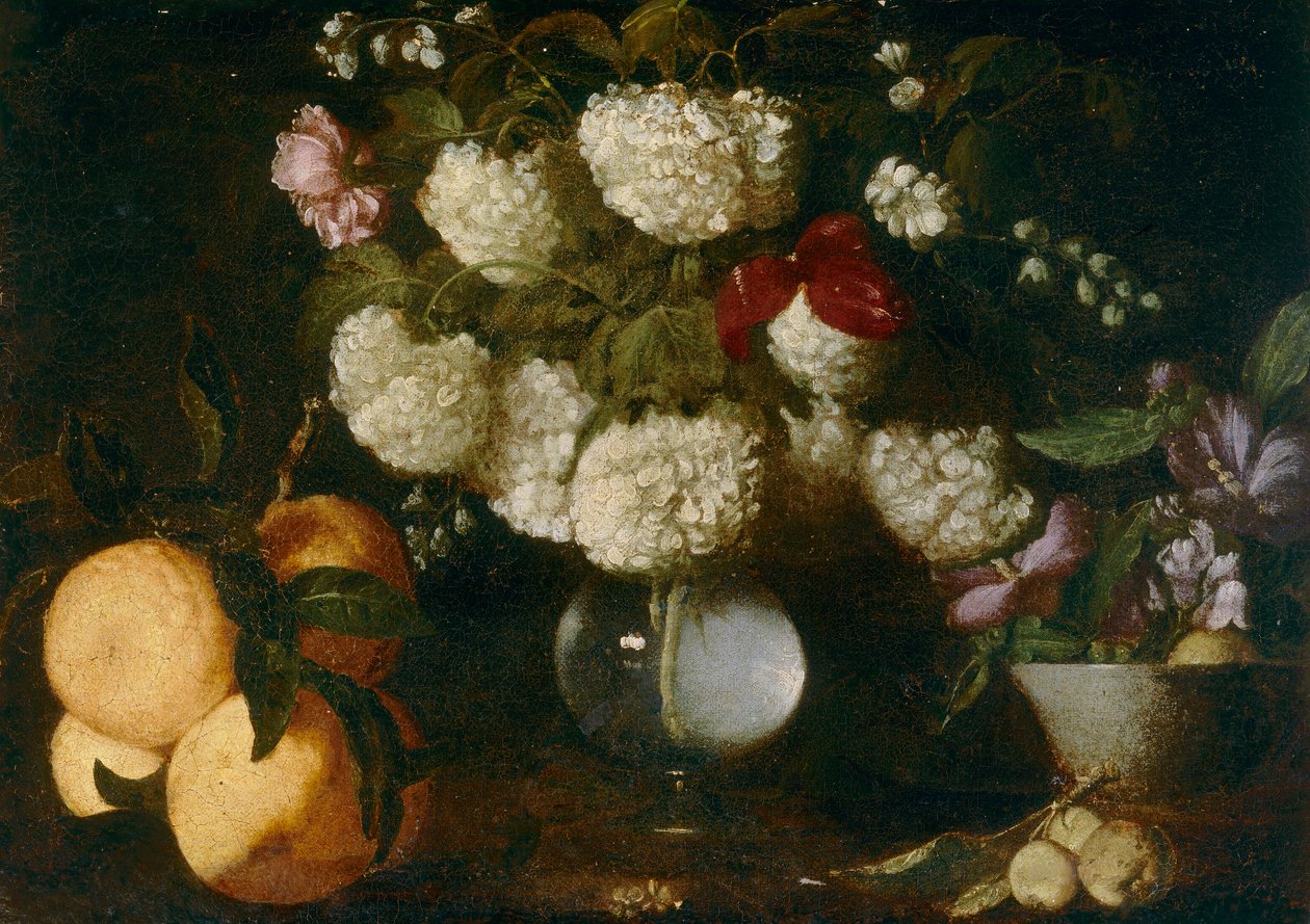Boules de neige, ruusut, neilikat, hedelmät tekijältä Italian School