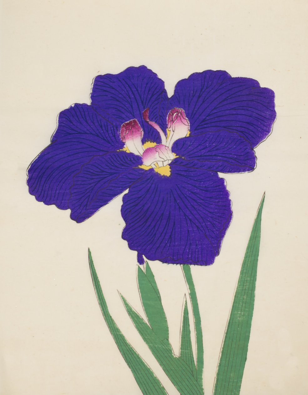 Shira-No-Tamoto, nro 49, 1890 (värillinen puupainatus) tekijältä Japanese School