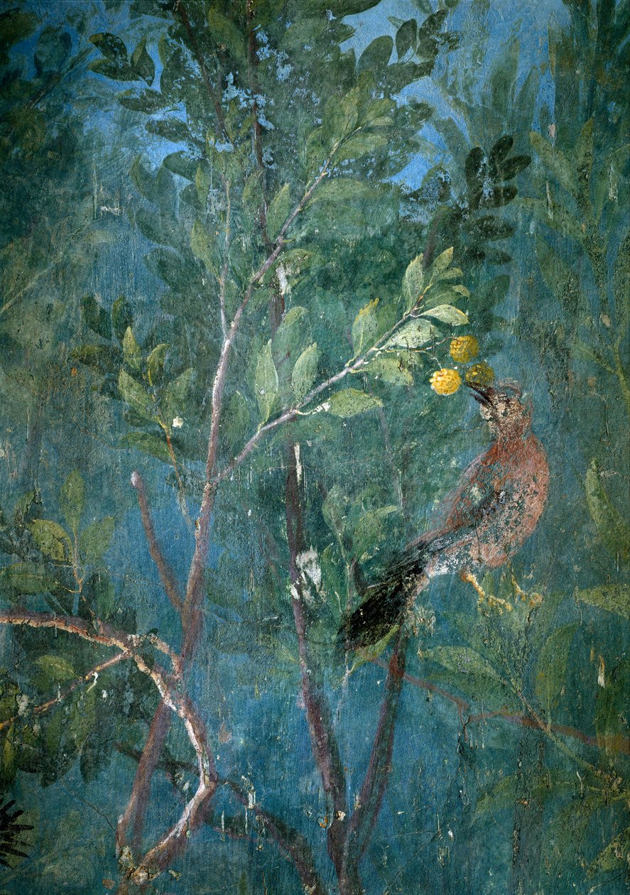 Trompe loeil -puutarha Livian huvilasta, 40-20 eKr tekijältä Roman
