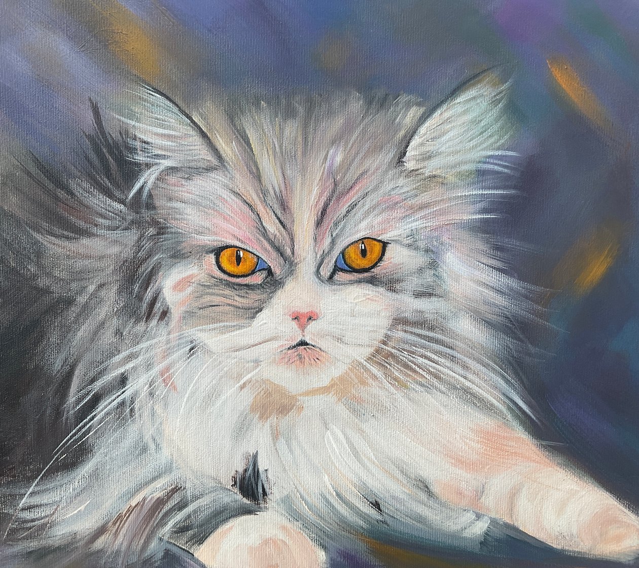 Maine-Coon kissa tekijältä H.Opitz
