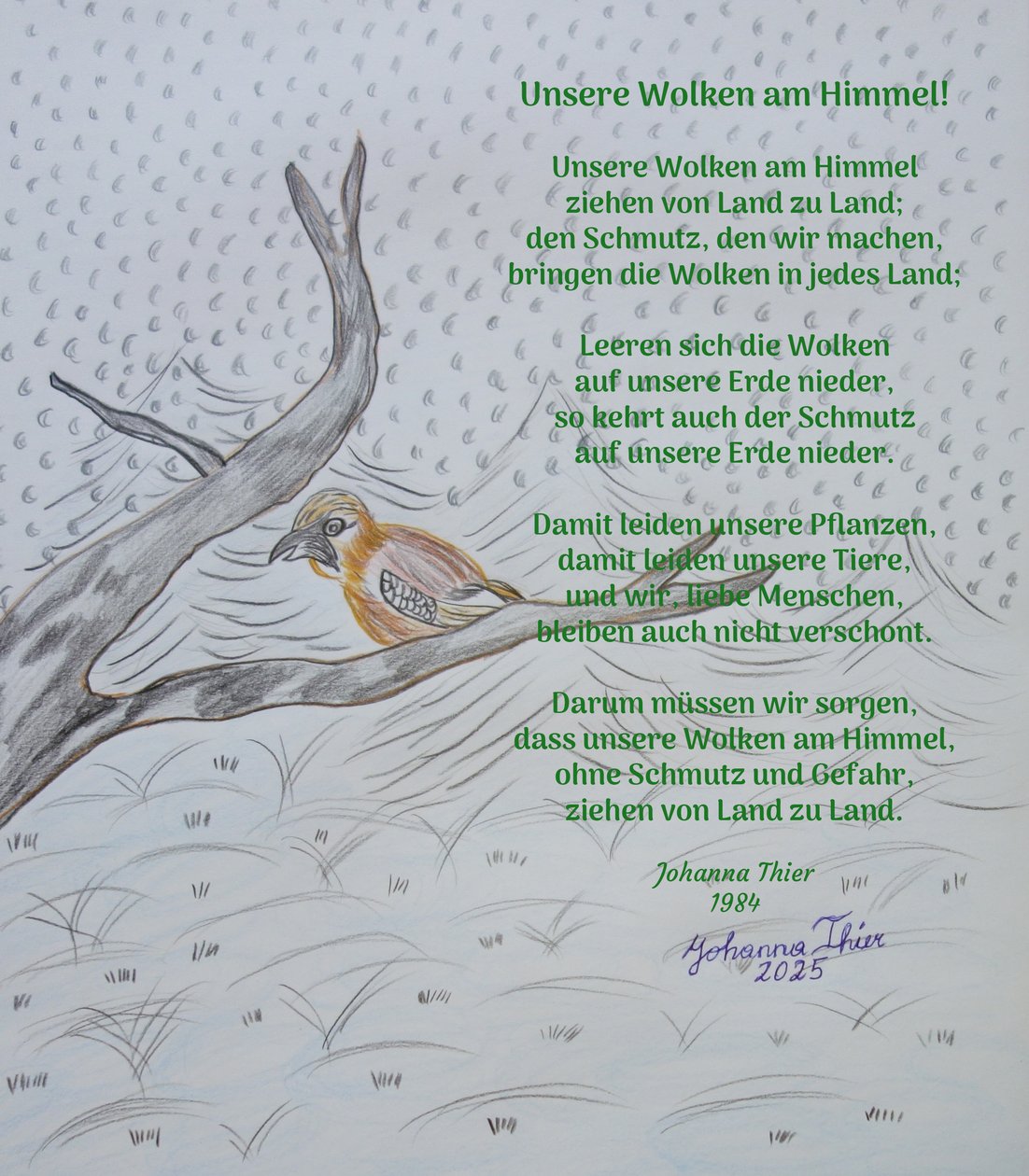 Pilvemme taivaalla tekijältä Johanna Thier