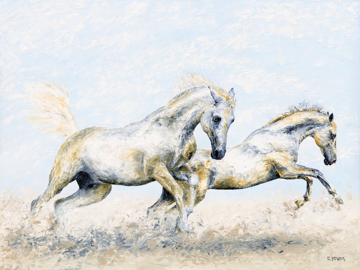 Arabian ritarit tekijältä Richard Young
