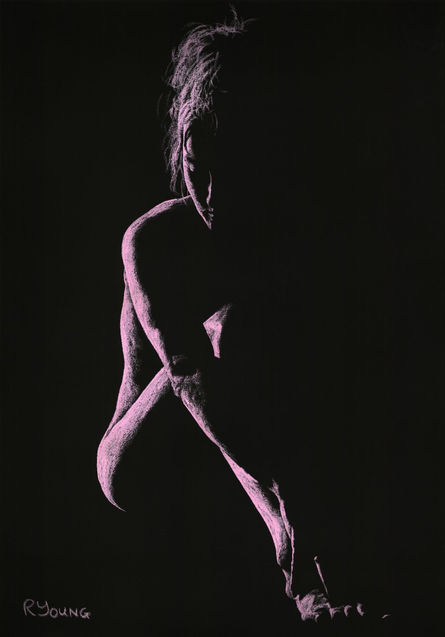 Päätökset tekijältä Richard Young