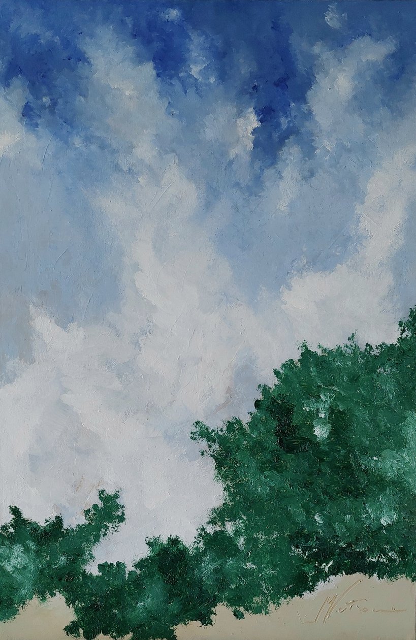 Siepe verde tekijältä M. Vet