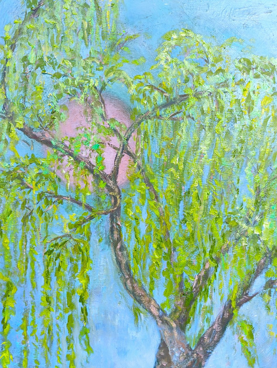 Paju, joka ei naura tekijältä Elzbieta Goszczycka