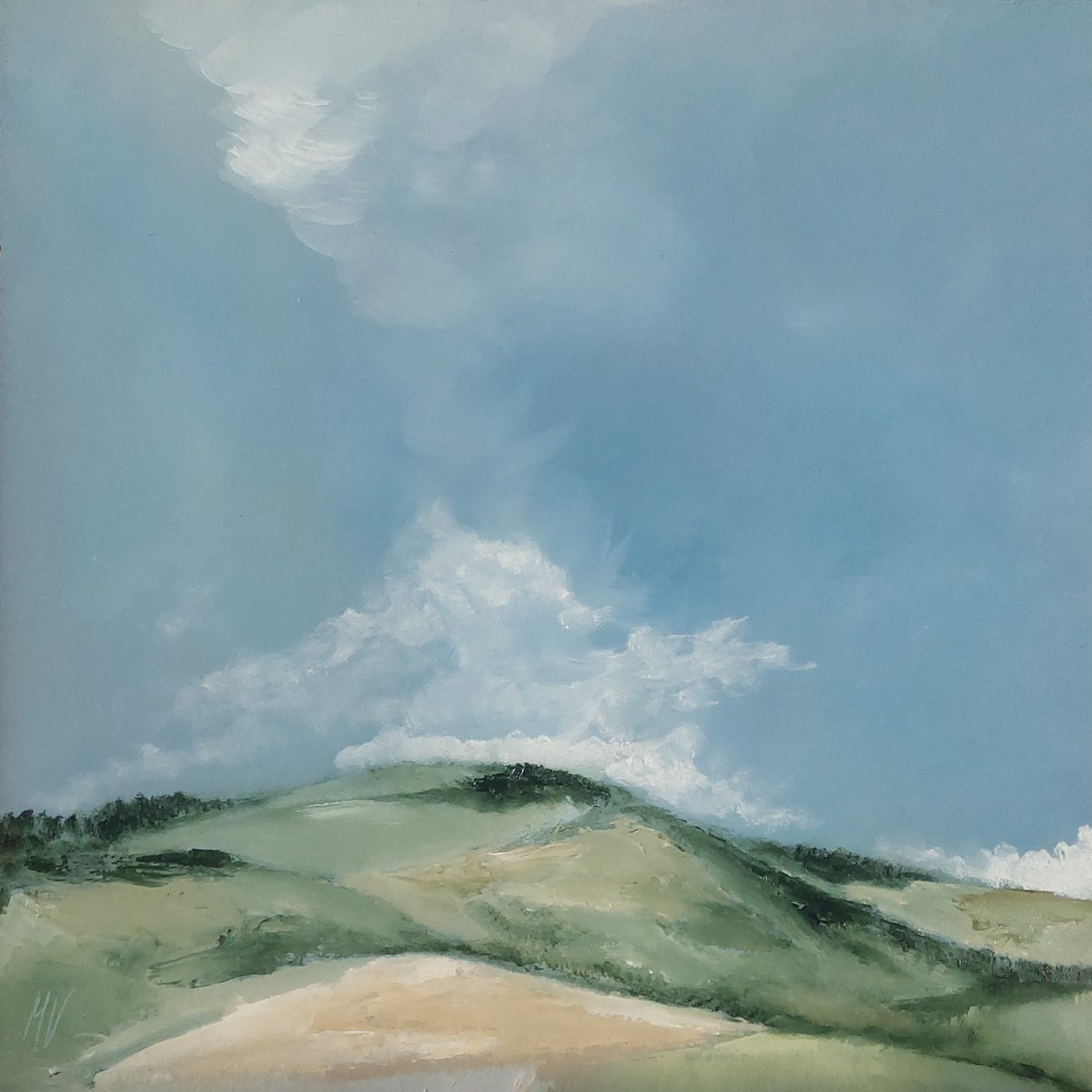 Tasainen kukkula tekijältä M. Vet