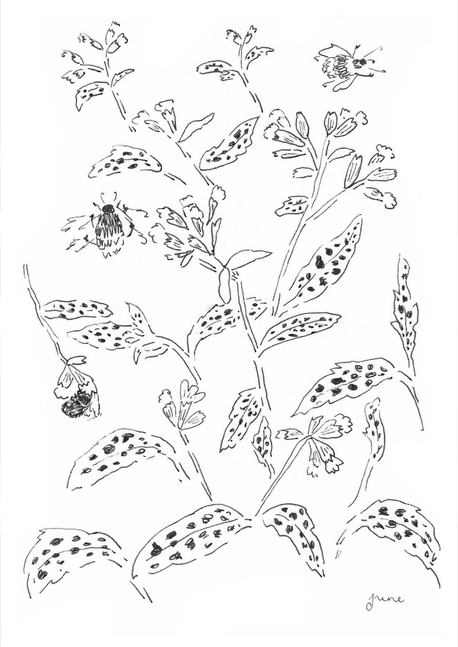  tekijältä june art