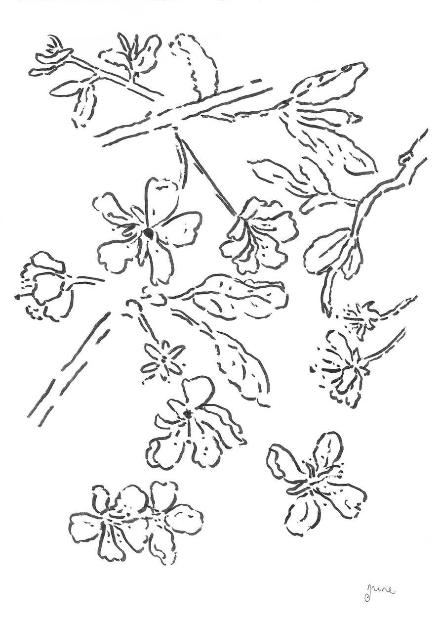 Blossom Ink -tutkimus tekijältä june art