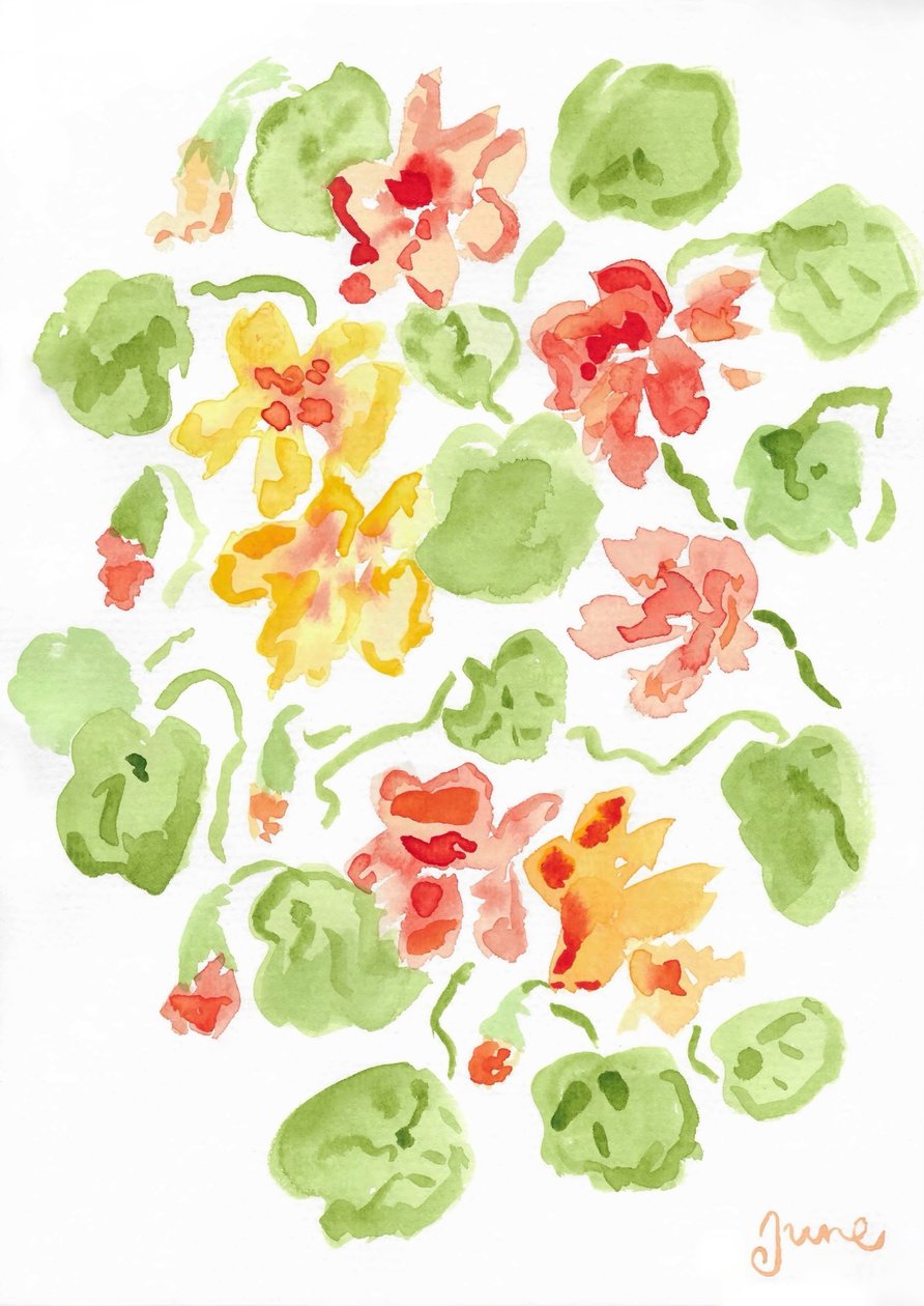 Nasturtiums tekijältä june art