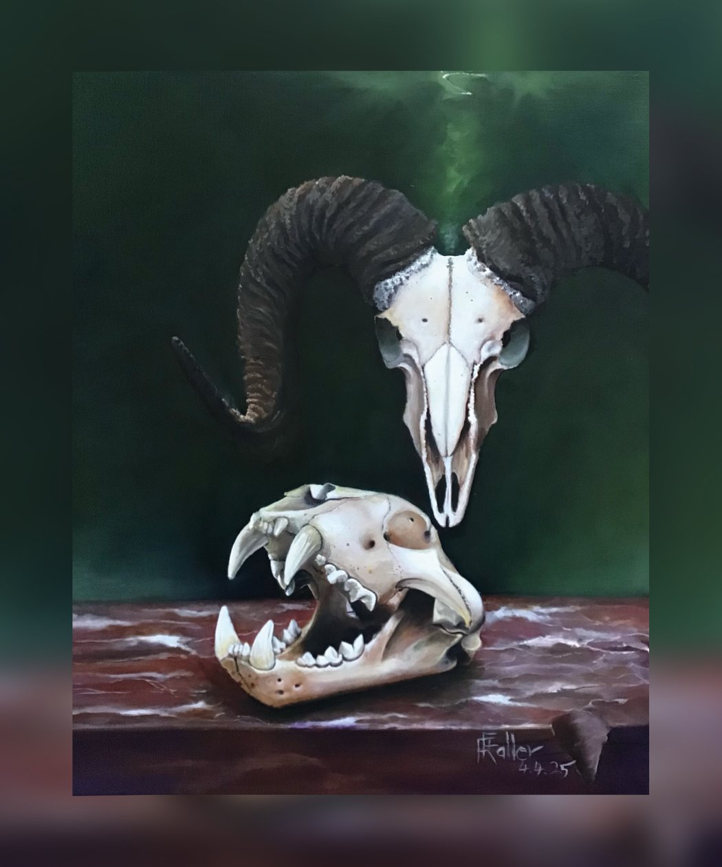 Memento mori (eläinten kallojen tutkielma) tekijältä Faller Rüdiger - Tician