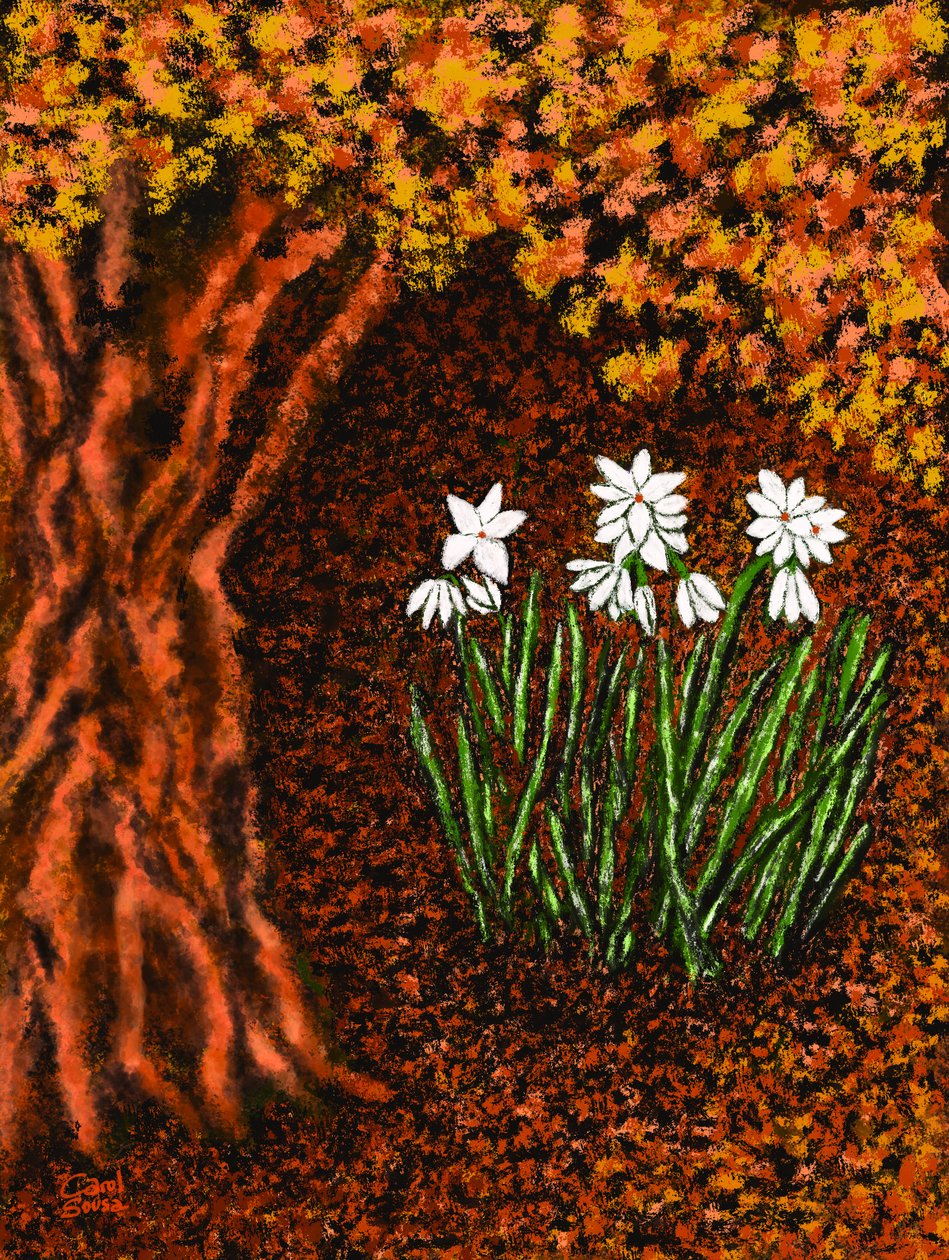 Herbstblumen tekijältä Carol Sousa Cuello