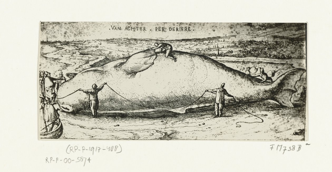 Vedos huuhtoutuneesta valasta lähellä Antwerpeniä, 2. heinäkuuta 1577 tekijältä A.B. van Deinse