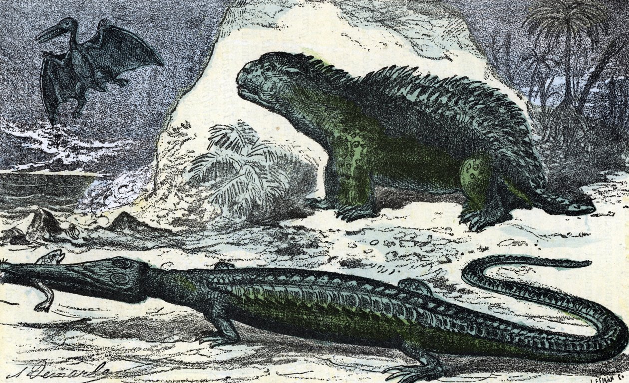Esihistoria: esitys teleosauruksesta (pidentyvä kuono) ja hyleosaurus jurakaudelta” (Esihistoria, jura: teleosaurus ja hylaeosaurus) Kaiverrus aiheesta ”” Luonto ja ihminen”, kirjoittanut Rengade 1881 Yksityinen kokoelma tekijältä A. Demarle