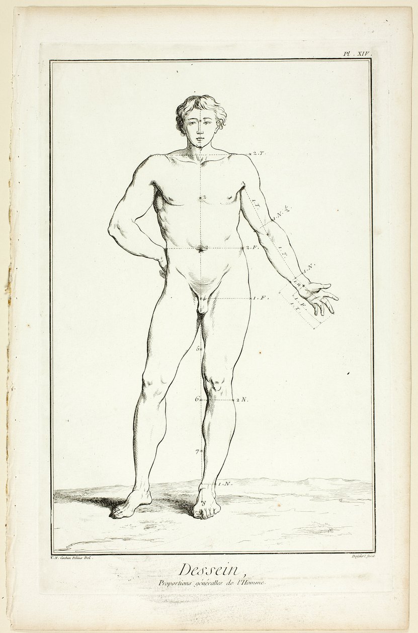 Suunnittelu: Encyclopédie: General Proportions of the Male, alkaen Encyclopédie tekijältä A. J. Defehrt