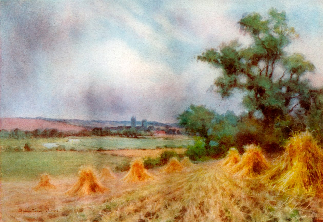 Canterbury Sturry Woodista, Kentistä, 1924-1926. tekijältä A Montague Rivers