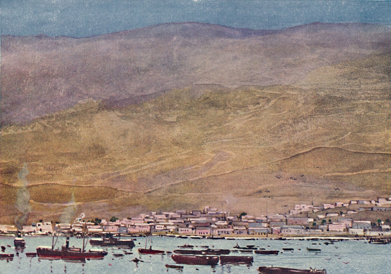 Arica, 1916 tekijältä A. S. Forrest