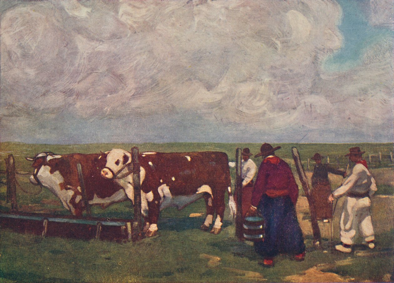 Sukutaulu härät Lemco Estanciassa, 1916 tekijältä A. S. Forrest
