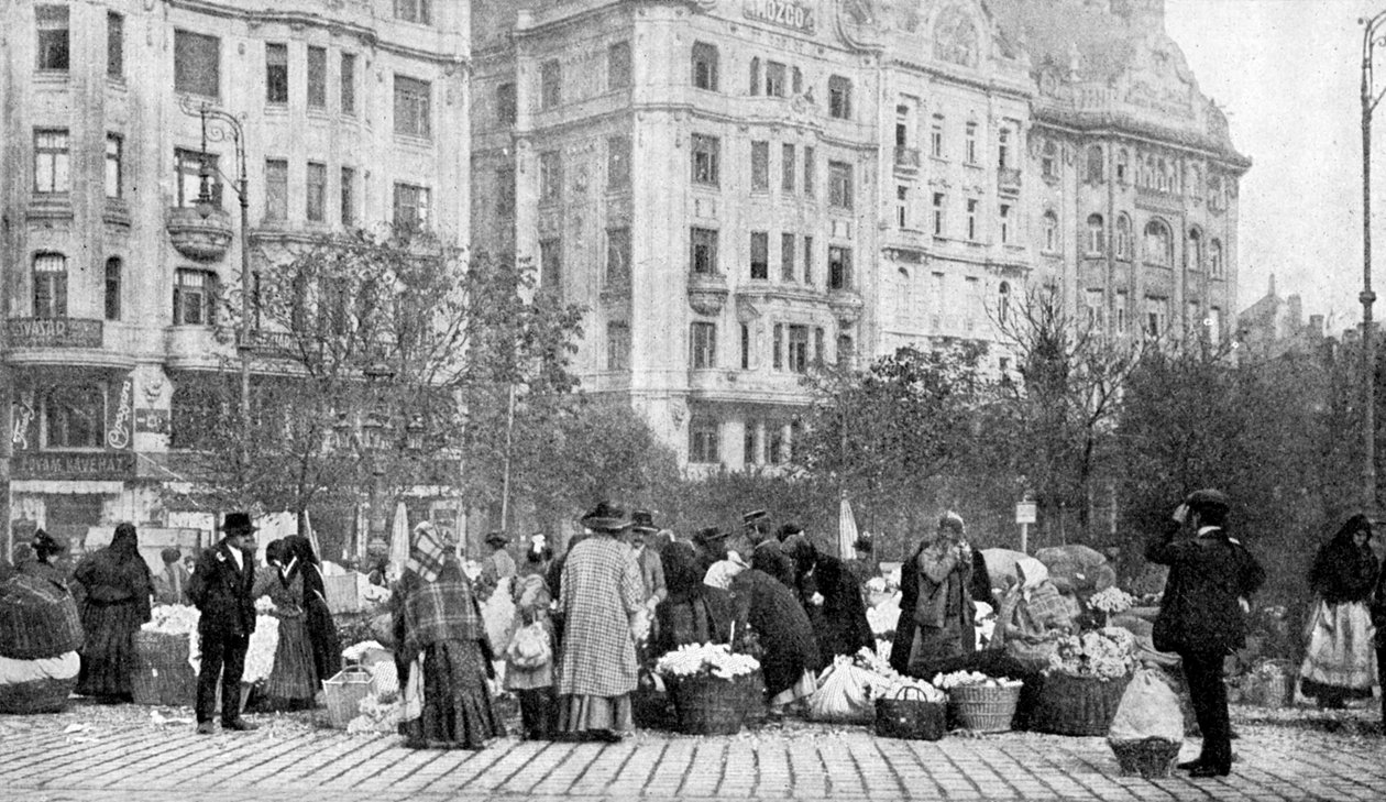 Suuret kukkamarkkinat, Budapest, Unkari, 1922. tekijältä A. W. Cutler