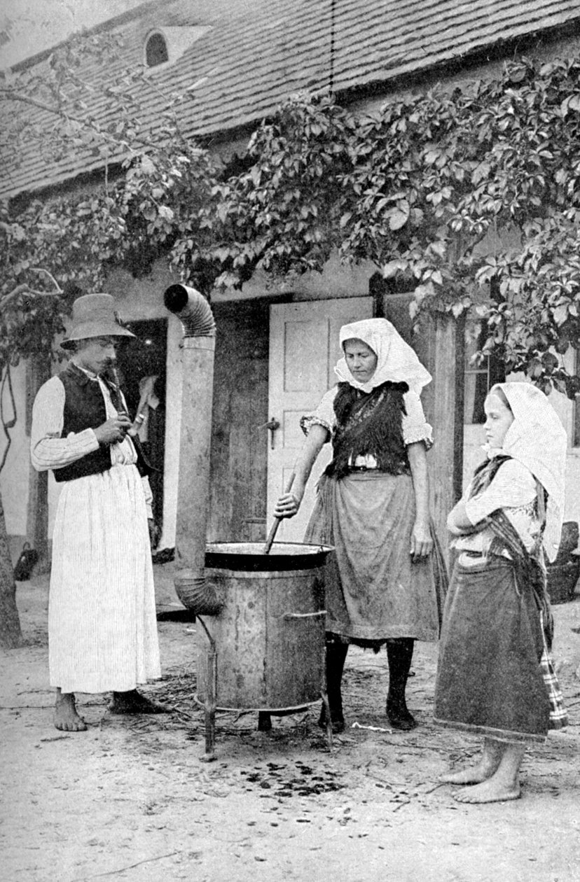 Hyytelön valmistus Czinkotassa, Unkarissa, 1922. tekijältä A. W. Cutler