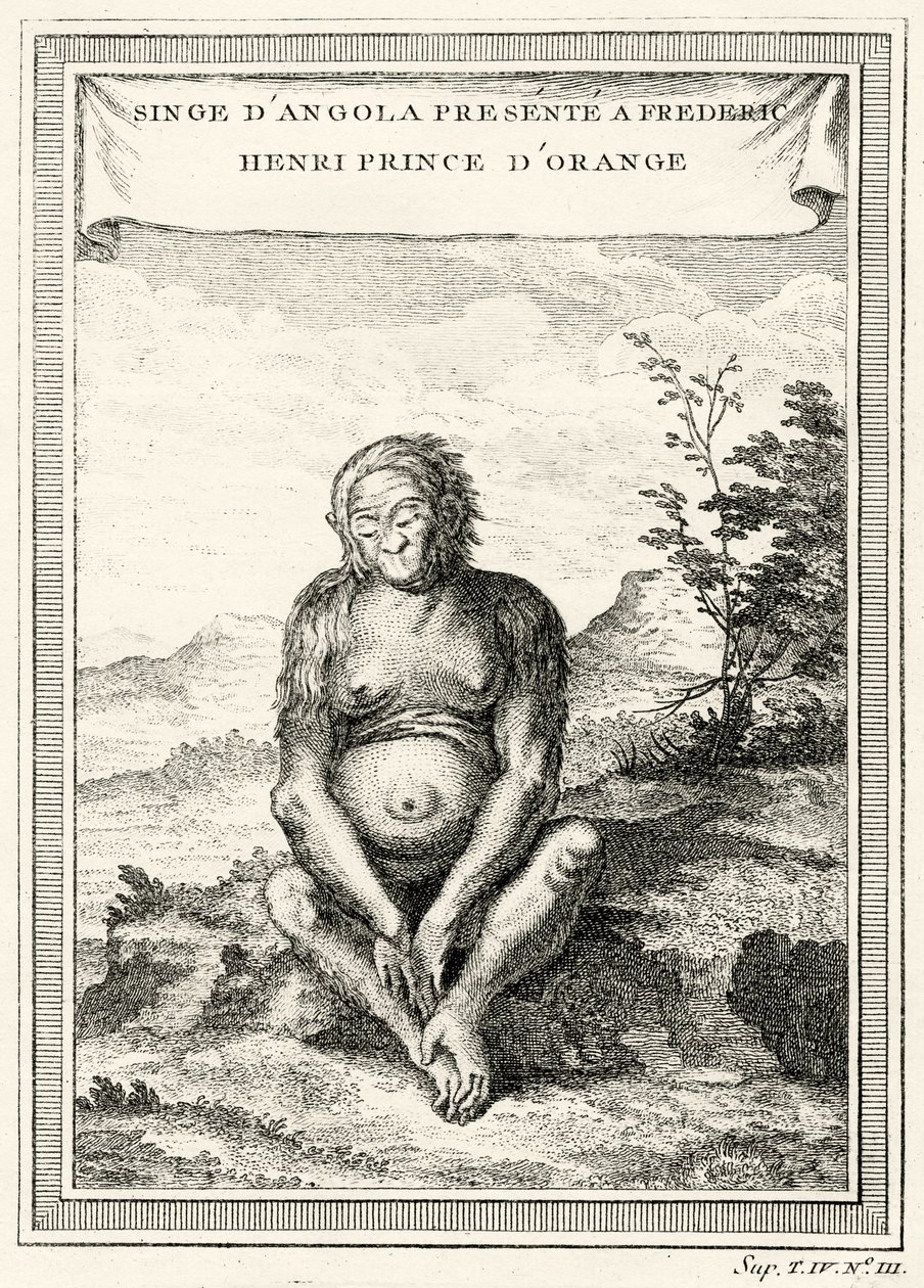 Kuva Orang-Outangista, joka esitettiin Frederick Henrylle, Orangen prinssille, 1750 tekijältä Abbé Prévost