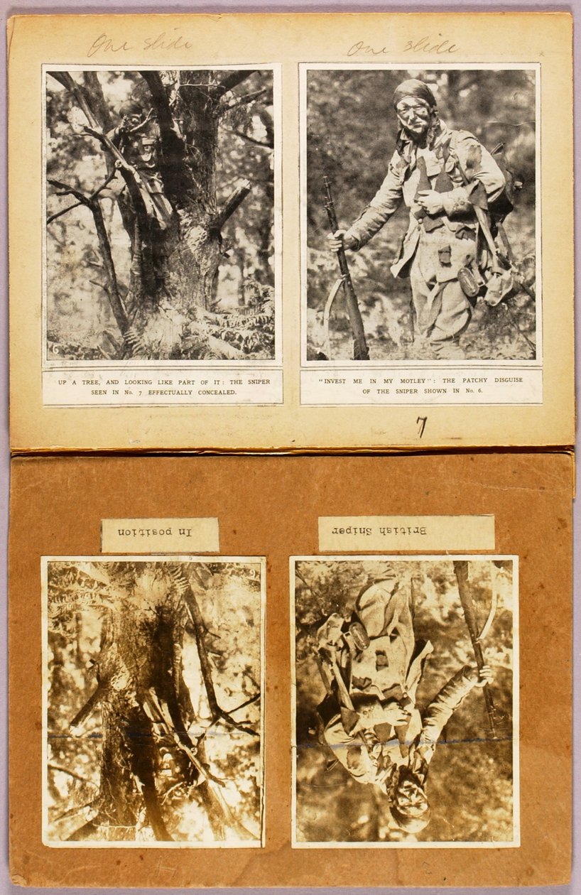 Britische Scharfschützen-Tarnung (frühe Bilder), Studienmappe für das Buch Concealing Coloration in the Animal Kingdom tekijältä Abbott Handerson Thayer