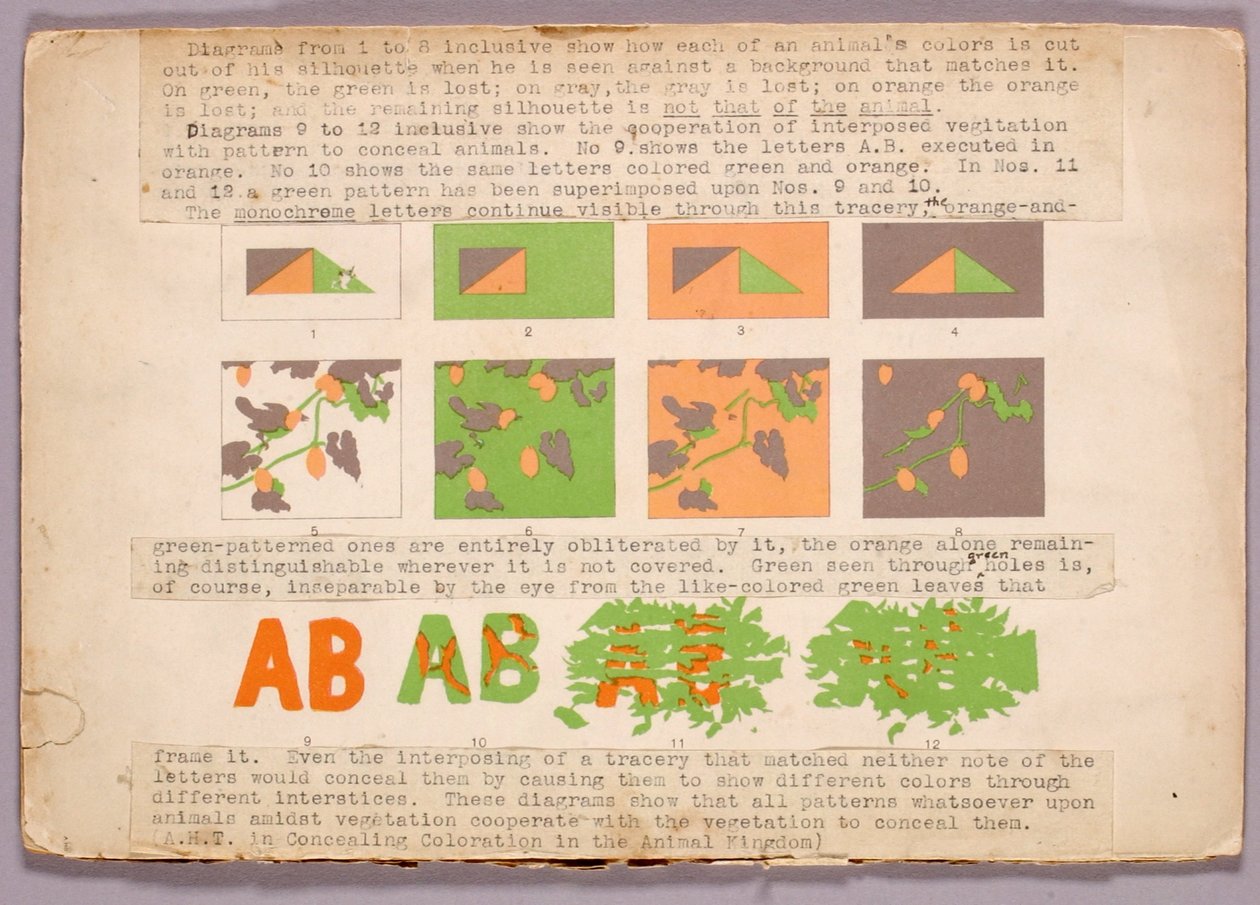 Diagramm und Kupferkopfschlange, Studienmappe für das Buch Concealing Coloration in the Animal Kingdom tekijältä Abbott Handerson Thayer