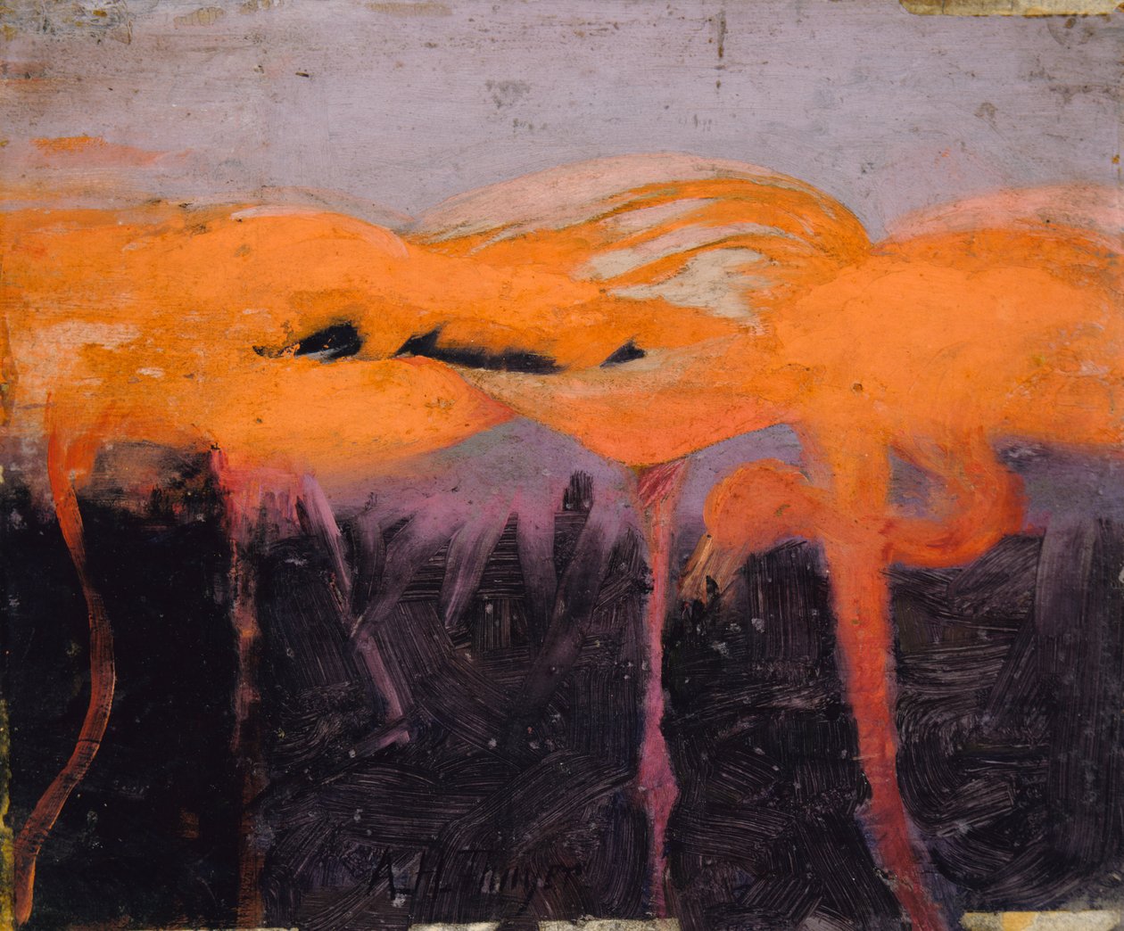 Red Flamingoes, tutkimus kirjaan Concealing Coloration in the Animal Kingdom, n. 1905-1909. tekijältä Abbott Handerson Thayer