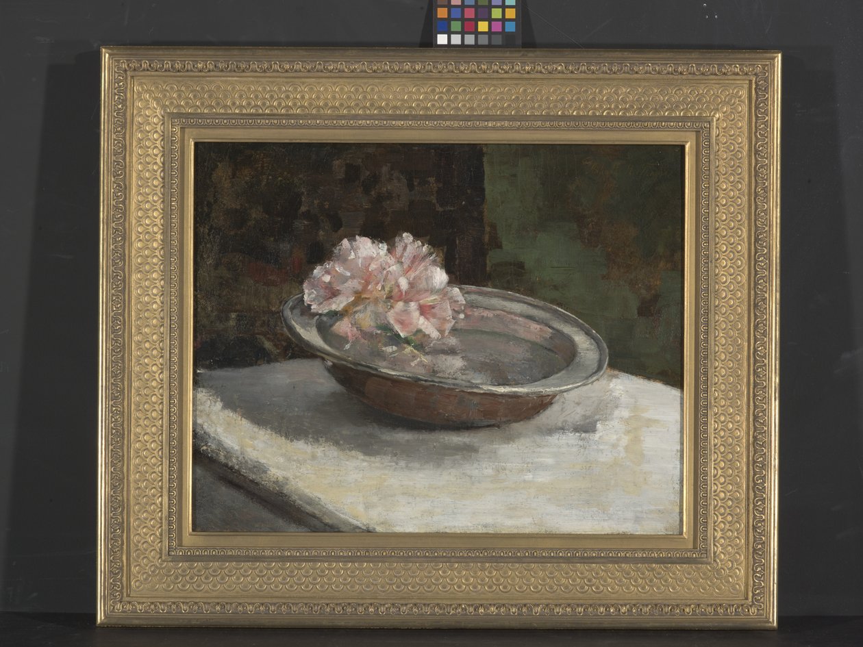 Asetelma (öljy kankaalle) tekijältä Abbott Handerson Thayer