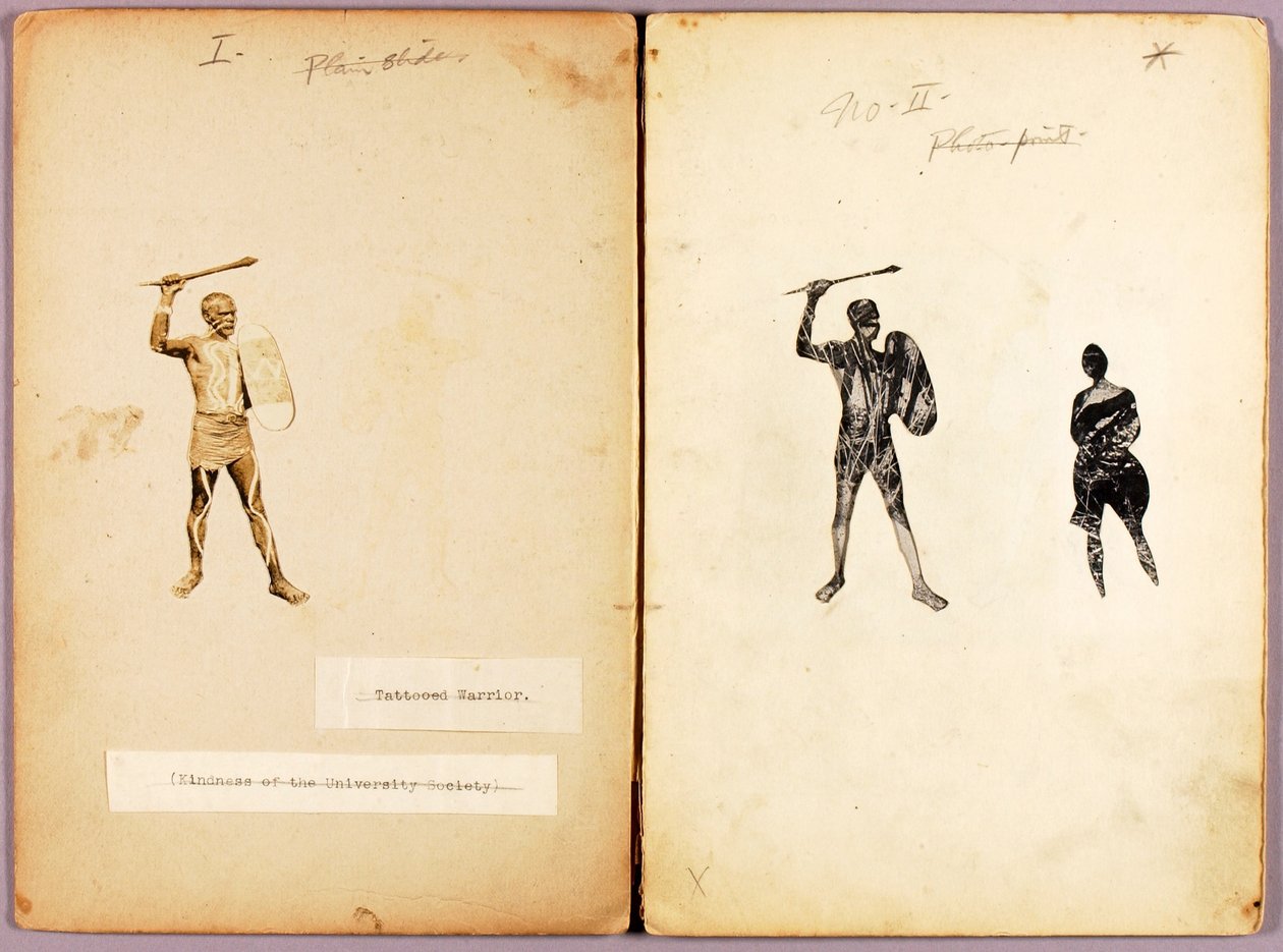 Tattooing-Single Warrior, opintokansio kirjaa Concealing Coloration in the Animal Kingdom varten. tekijältä Abbott Handerson Thayer