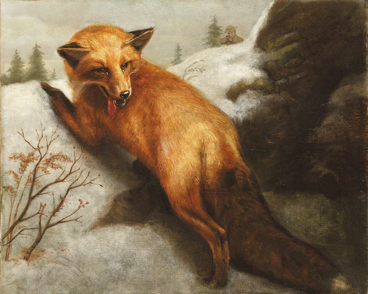 Punainen kettu, 1870 tekijältä Abbott Handerson Thayer