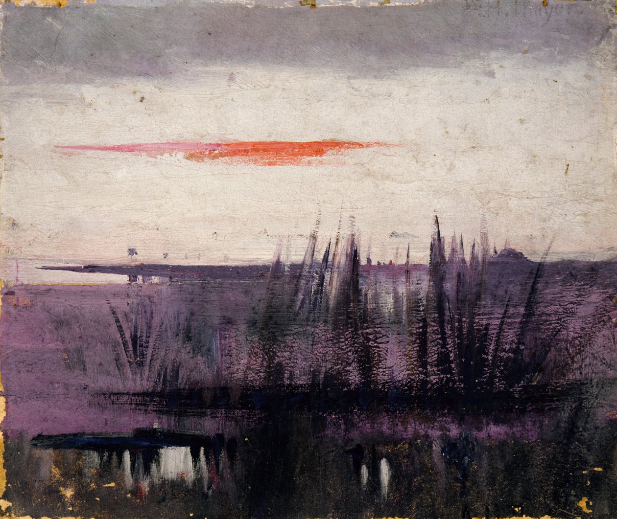 The Sky Simulated by White Flamingoes -tutkimus kirjaa varten..., Eläinvaltakunnassa, n. 1905-1909. tekijältä Abbott Handerson Thayer