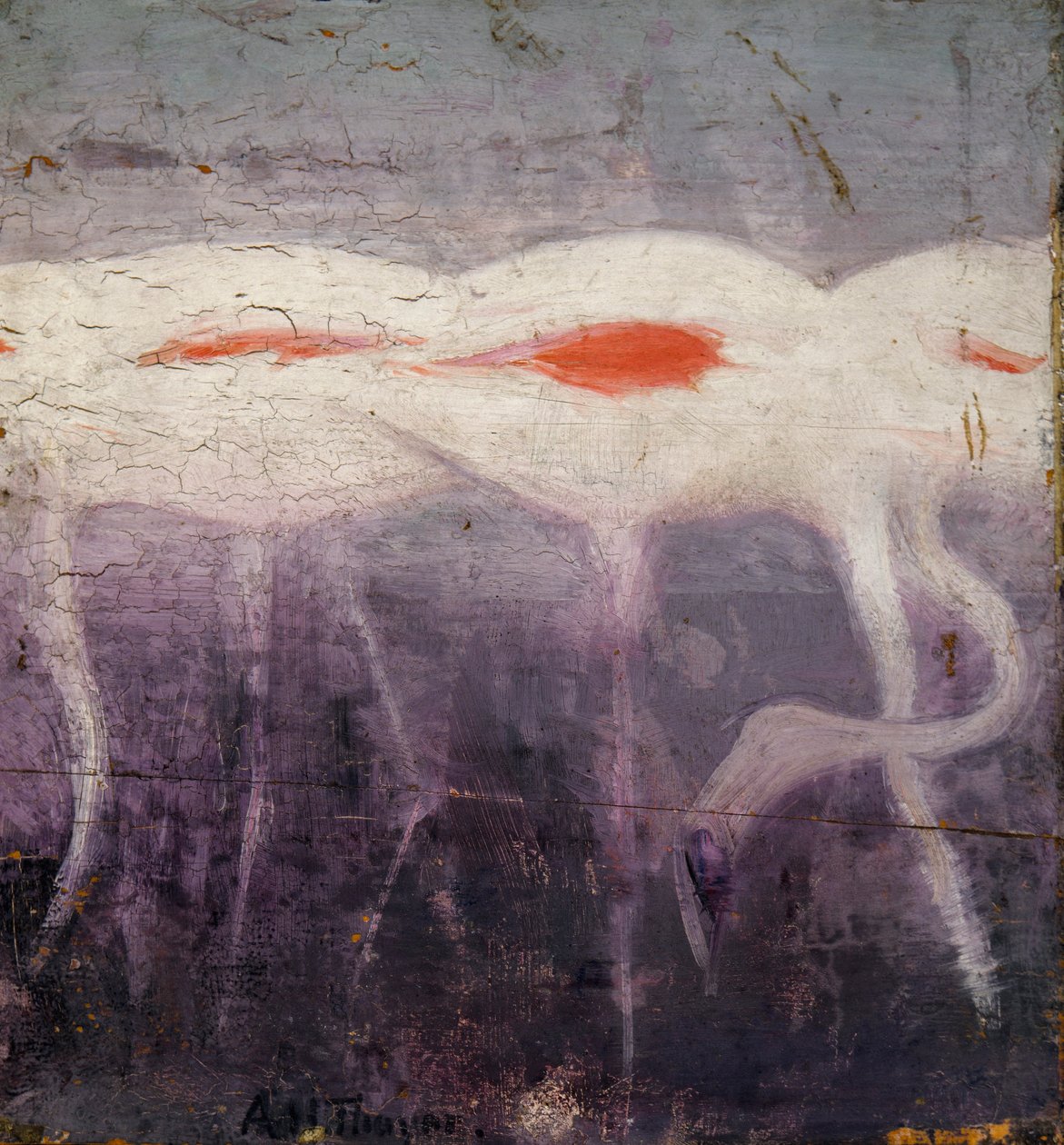 Valkoiset flamingot, tutkimus kirjaa Concealing Coloration in the Animal Kingdom varten tekijältä Abbott Handerson Thayer