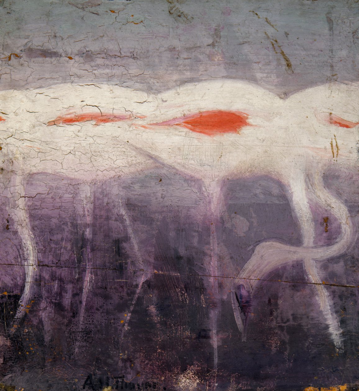 White Flamingoes, tutkimus kirjaan Concealing Coloration in the Animal Kingdom, n. 1905-1909. tekijältä Abbott Handerson Thayer