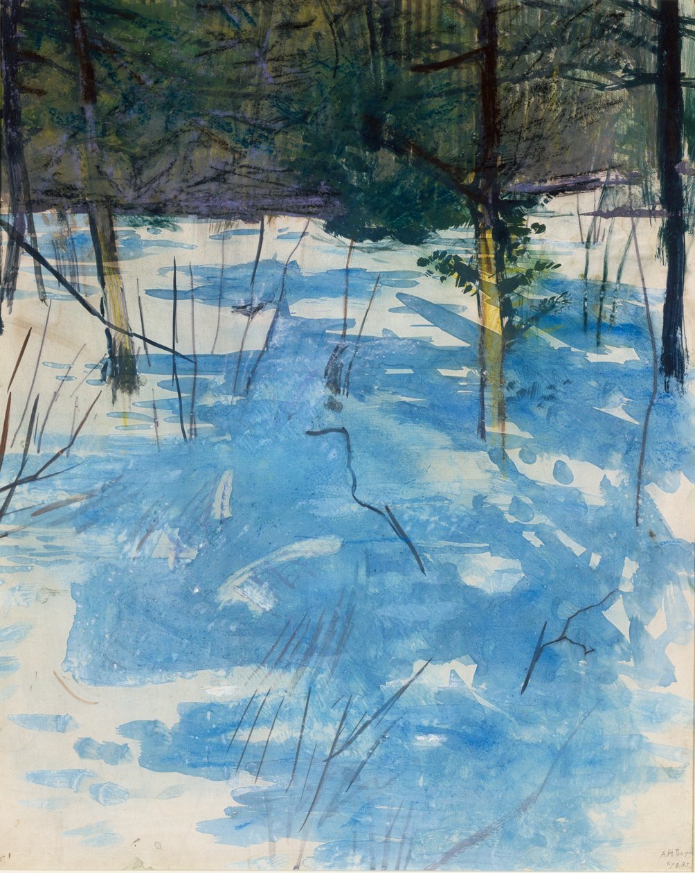 Winter, Monadnock, n. 1900. tekijältä Abbott Handerson Thayer